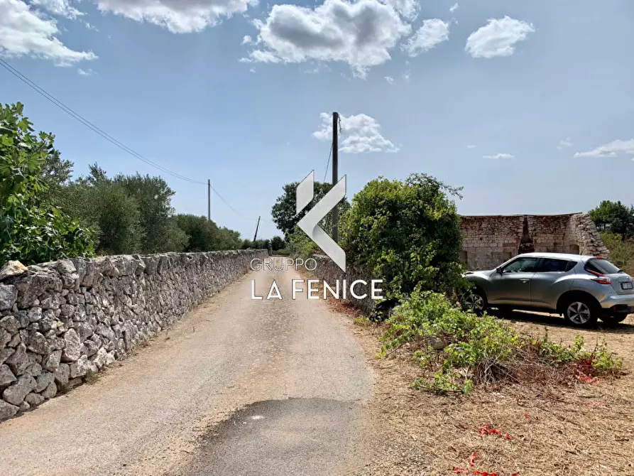 Immagine 3 di Terreno in vendita  in c.da Rospano a Martina Franca