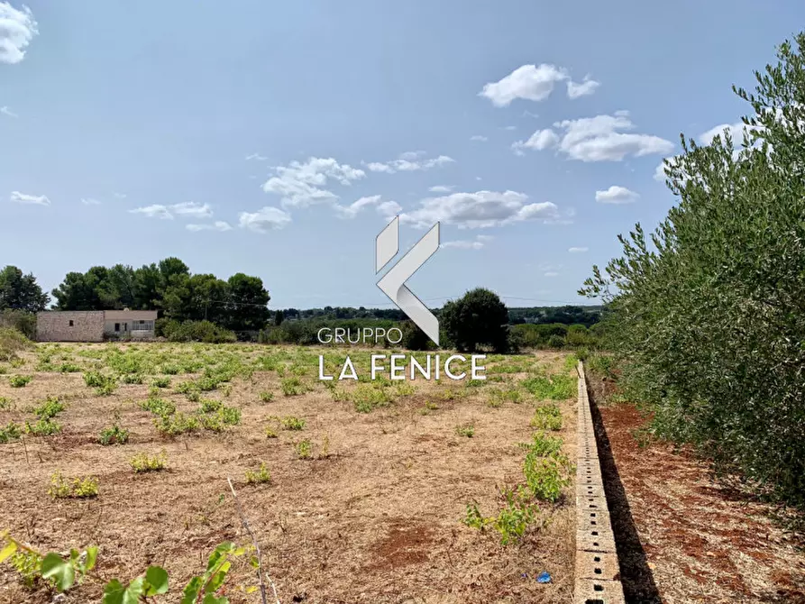 Immagine 6 di Terreno in vendita  in c.da Rospano a Martina Franca