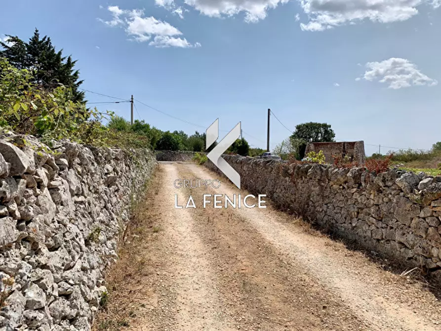 Immagine 7 di Terreno in vendita  in c.da Rospano a Martina Franca