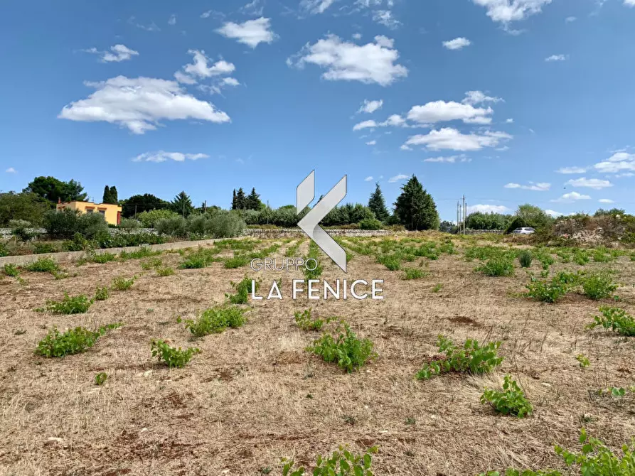 Immagine 8 di Terreno in vendita  in c.da Rospano a Martina Franca