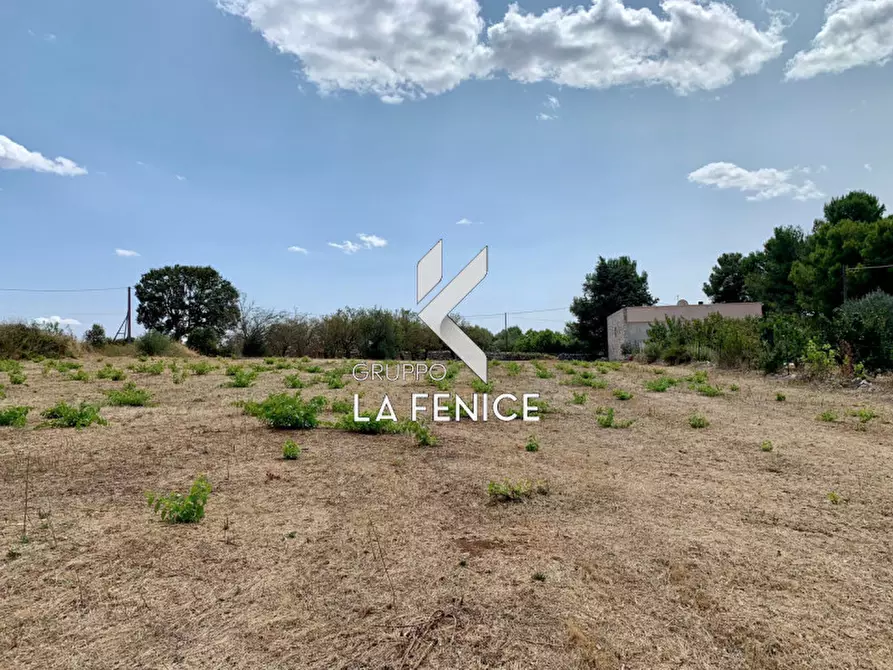 Immagine 9 di Terreno in vendita  in c.da Rospano a Martina Franca