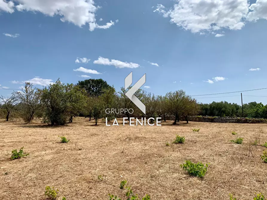 Immagine 10 di Terreno in vendita  in c.da Rospano a Martina Franca