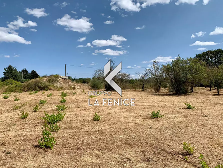 Immagine 11 di Terreno in vendita  in c.da Rospano a Martina Franca