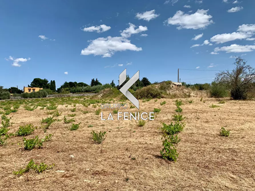 Immagine 12 di Terreno in vendita  in c.da Rospano a Martina Franca