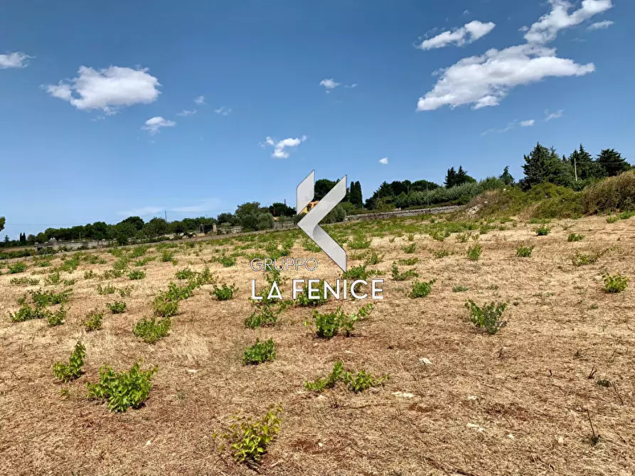 Immagine 13 di Terreno in vendita  in c.da Rospano a Martina Franca
