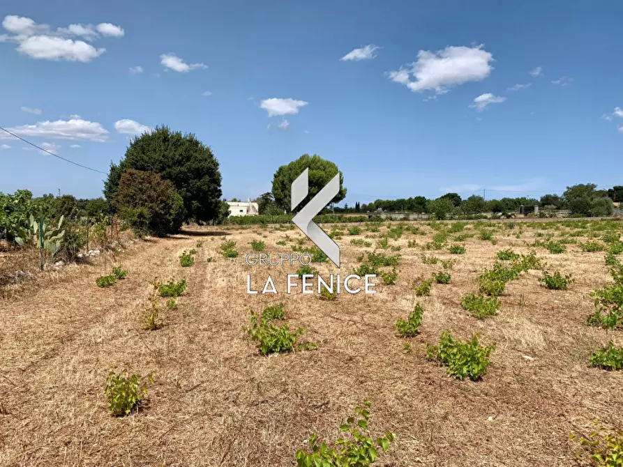 Immagine 14 di Terreno in vendita  in c.da Rospano a Martina Franca