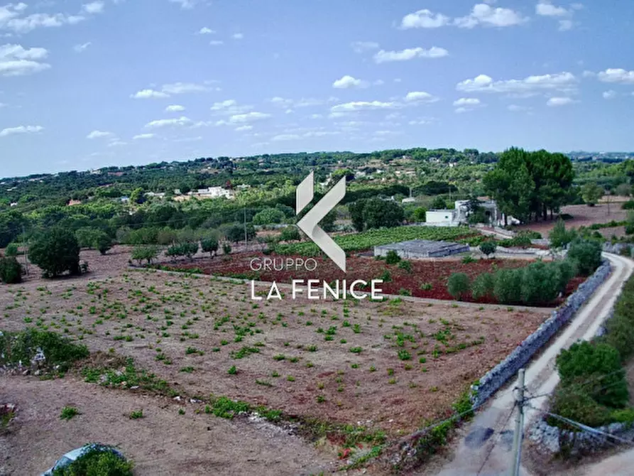 Immagine 15 di Terreno in vendita  in c.da Rospano a Martina Franca