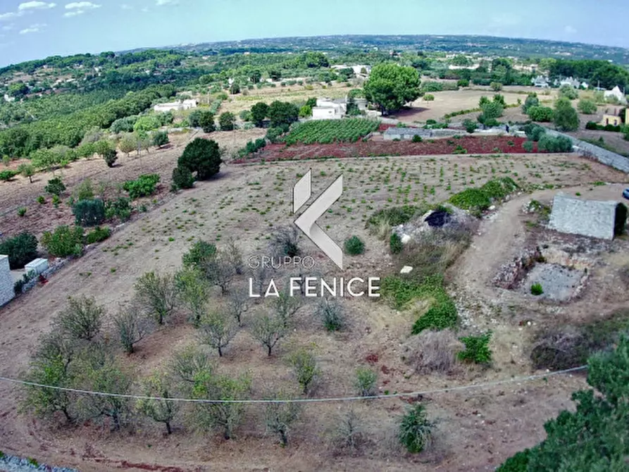 Immagine 17 di Terreno in vendita  in c.da Rospano a Martina Franca