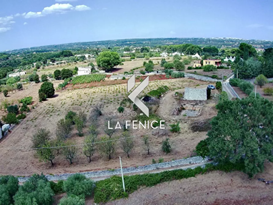Immagine 18 di Terreno in vendita  in c.da Rospano a Martina Franca