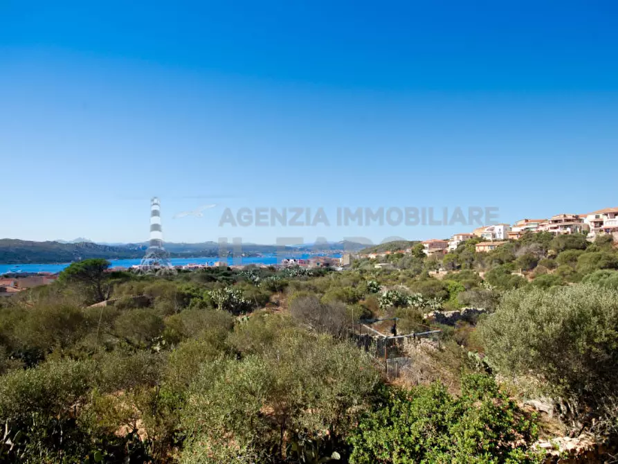 Immagine 5 di Villa in vendita  in Via Guardia Gellone a La Maddalena