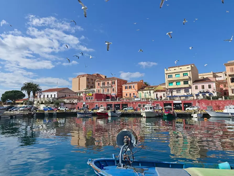 Immagine 7 di Villa in vendita  in Via Guardia Gellone a La Maddalena