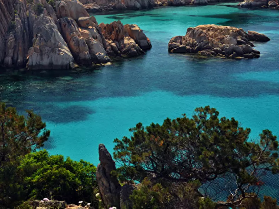 Immagine 9 di Villa in vendita  in Via Guardia Gellone a La Maddalena