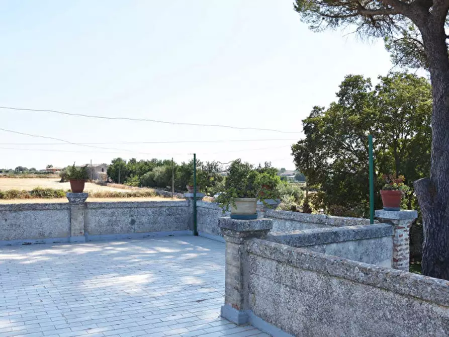 Immagine 6 di Casa indipendente in vendita  in C.da S. Elena Pizzilli a Modica