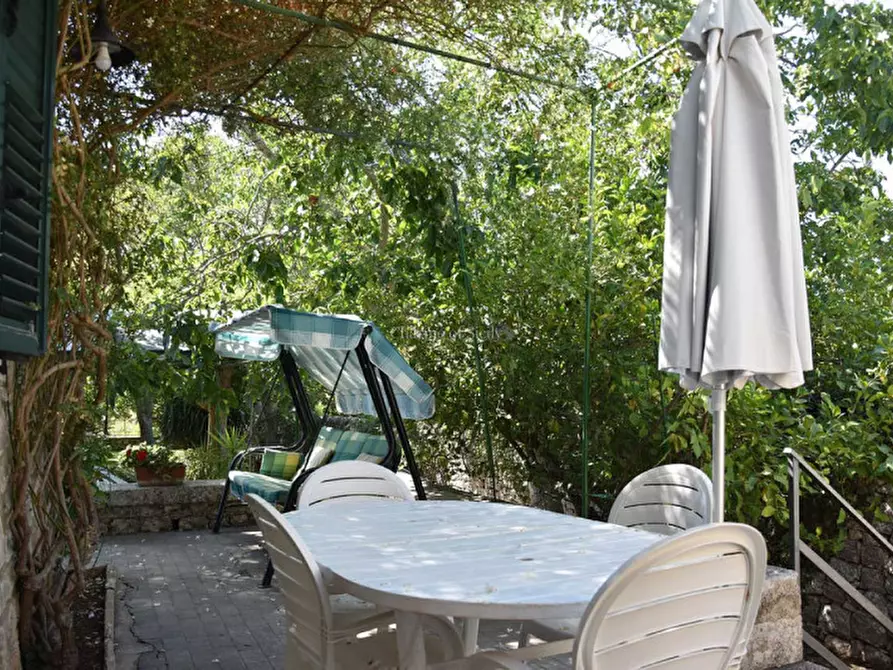 Immagine 7 di Casa indipendente in vendita  in C.da S. Elena Pizzilli a Modica