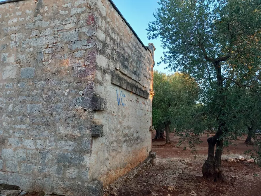 Immagine 25 di Rustico / casale in vendita  in C.da Palagogna a Ceglie Messapico