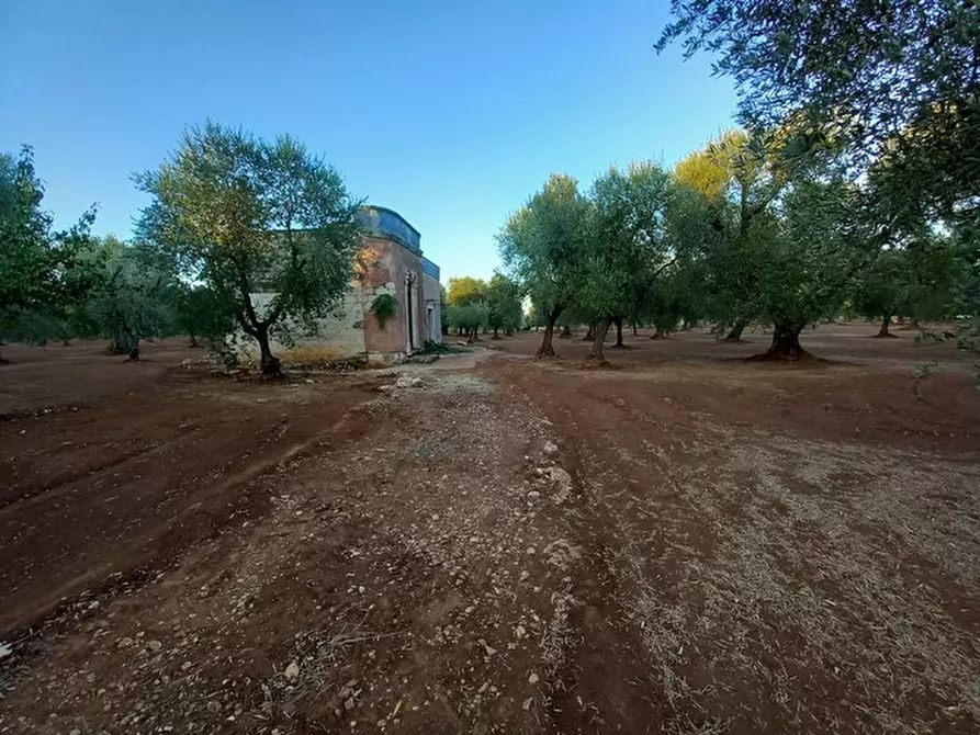 Immagine 28 di Rustico / casale in vendita  in C.da Palagogna a Ceglie Messapico
