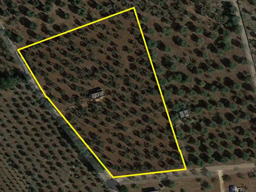 Immagine 29 di Rustico / casale in vendita  in C.da Palagogna a Ceglie Messapico