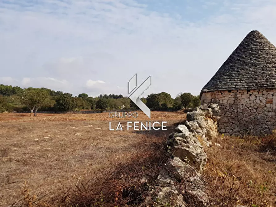 Immagine 4 di Rustico / casale in vendita  in contrada Vecchio a Noci