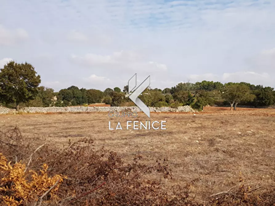 Immagine 7 di Rustico / casale in vendita  in contrada Vecchio a Noci