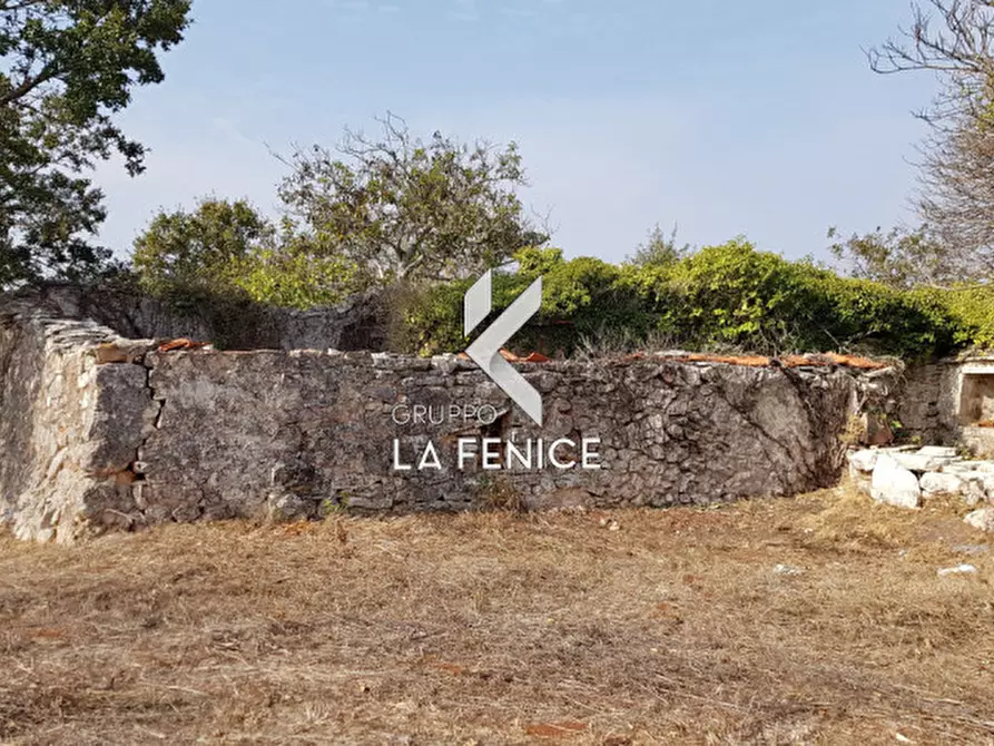 Immagine 9 di Rustico / casale in vendita  in contrada Vecchio a Noci