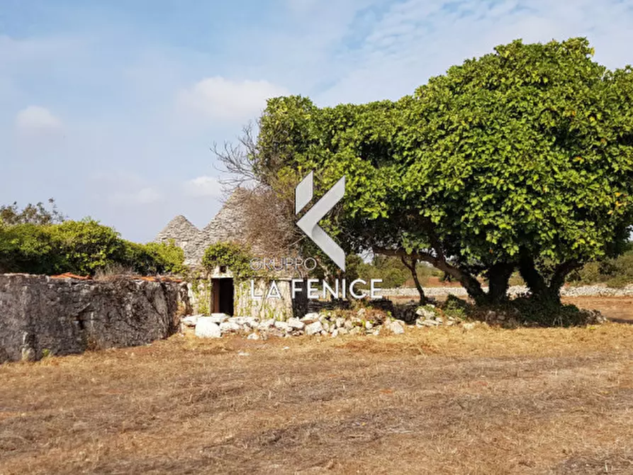 Immagine 12 di Rustico / casale in vendita  in contrada Vecchio a Noci