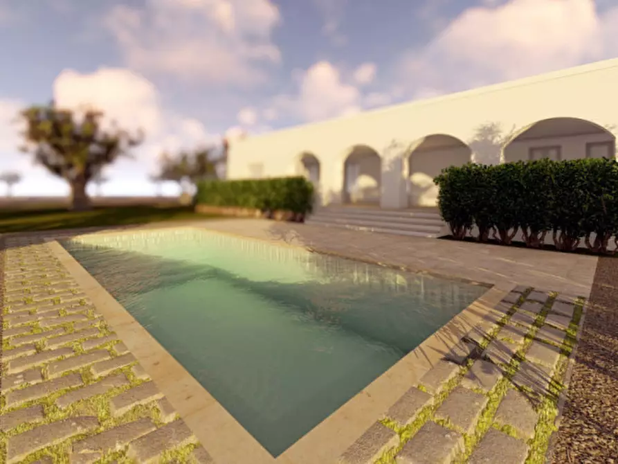 Immagine 3 di Terreno in vendita  in MICOAEP a Fasano