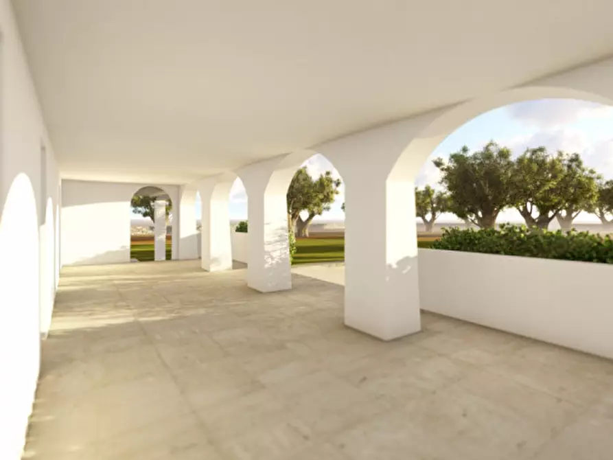 Immagine 15 di Terreno in vendita  in MICOAEP a Fasano