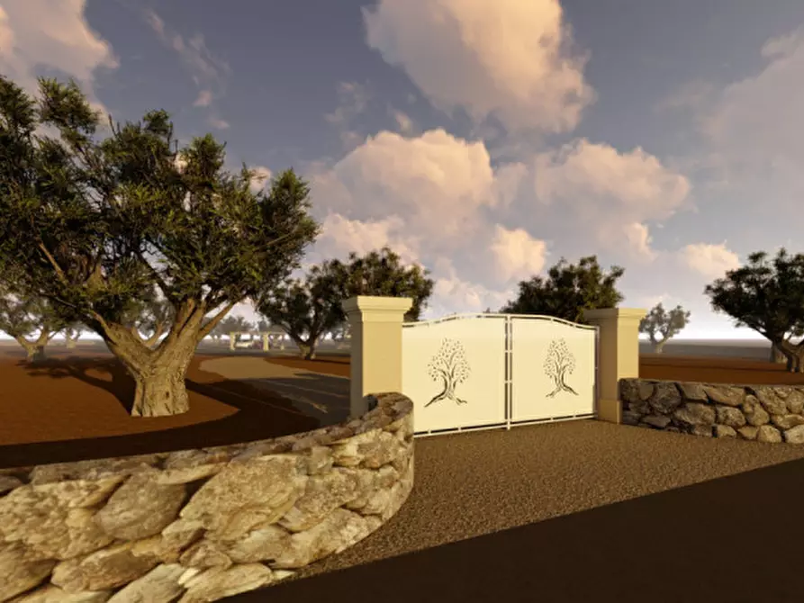 Immagine 20 di Terreno in vendita  in MICOAEP a Fasano