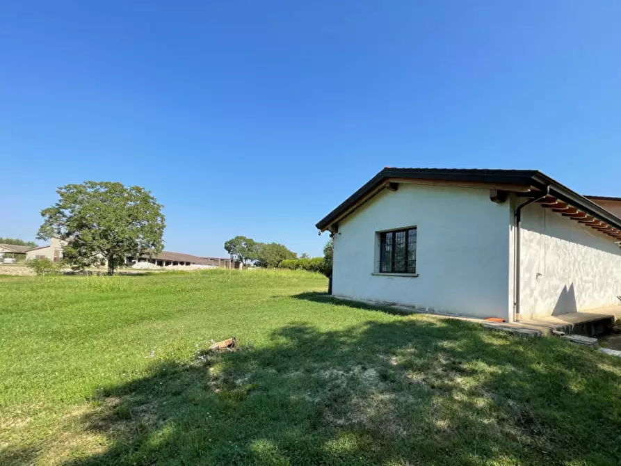 Immagine 28 di Casa indipendente in vendita  a Motteggiana