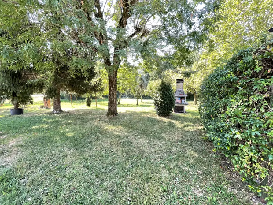 Immagine 31 di Casa indipendente in vendita  a Motteggiana