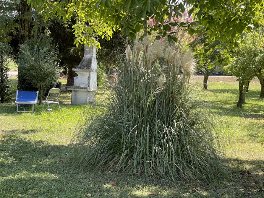 Immagine 32 di Casa indipendente in vendita  a Motteggiana