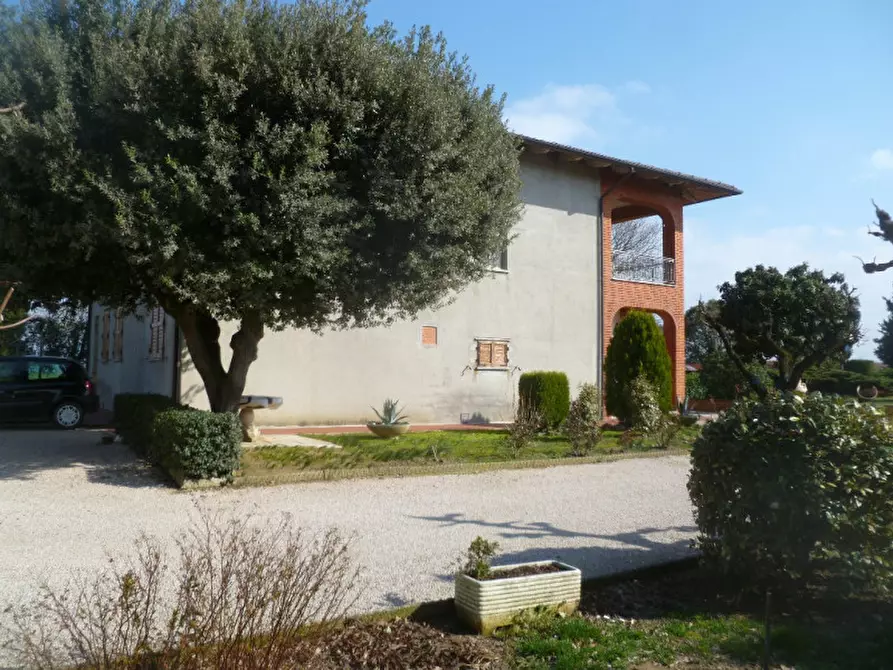 Immagine 25 di Villa in vendita  in Strada provinciale dei lopi a Castiglione Del Lago