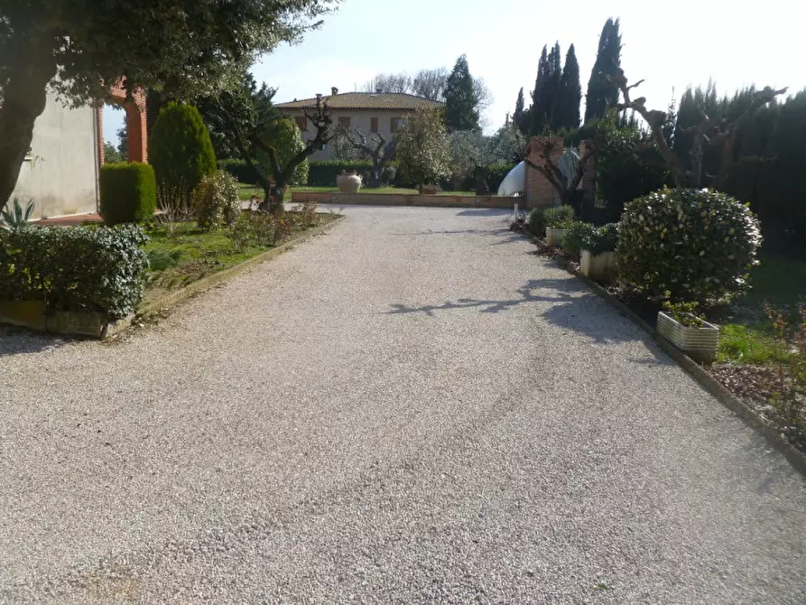 Immagine 26 di Villa in vendita  in Strada provinciale dei lopi a Castiglione Del Lago