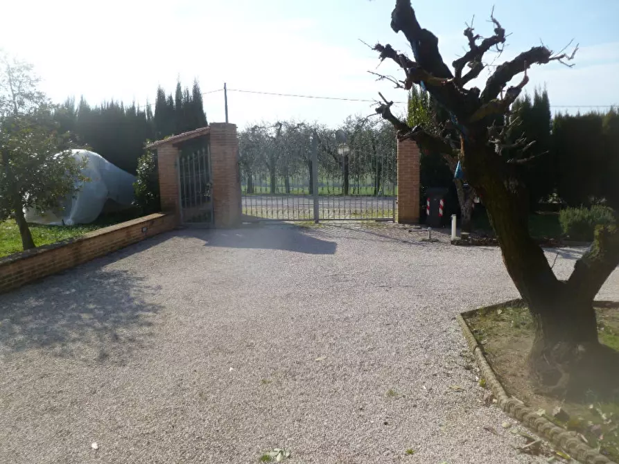 Immagine 27 di Villa in vendita  in Strada provinciale dei lopi a Castiglione Del Lago