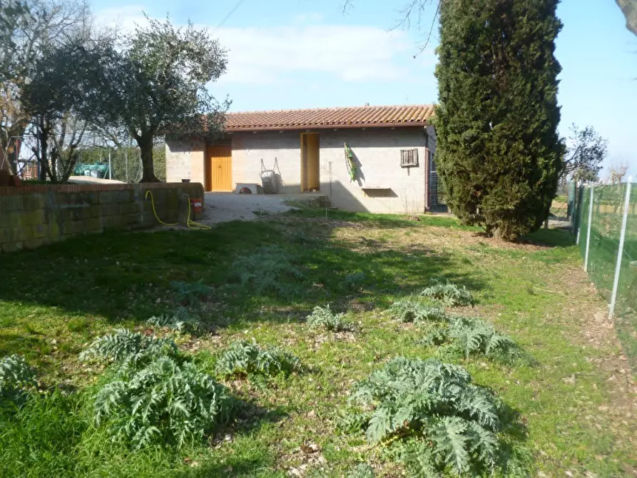 Immagine 28 di Villa in vendita  in Strada provinciale dei lopi a Castiglione Del Lago