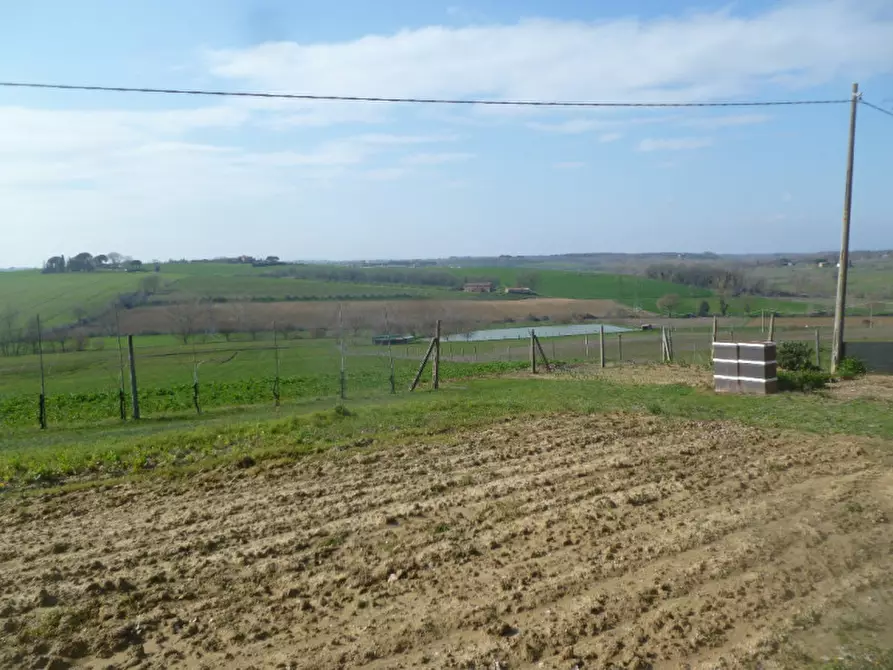 Immagine 30 di Villa in vendita  in Strada provinciale dei lopi a Castiglione Del Lago