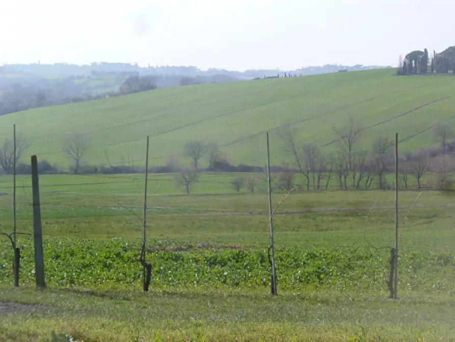Immagine 31 di Villa in vendita  in Strada provinciale dei lopi a Castiglione Del Lago