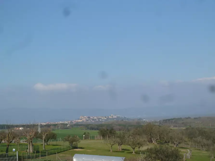 Immagine 32 di Villa in vendita  in Strada provinciale dei lopi a Castiglione Del Lago