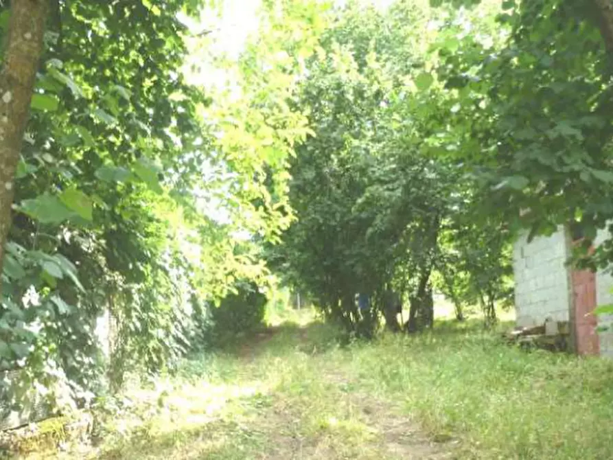 Immagine 2 di Terreno in vendita  in località Selve Vecchie a Aiello Del Sabato