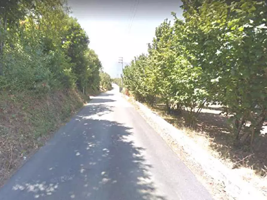 Immagine 6 di Terreno in vendita  in località Selve Vecchie a Aiello Del Sabato
