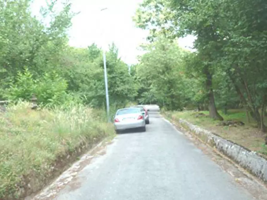 Immagine 7 di Terreno in vendita  in località Selve Vecchie a Aiello Del Sabato