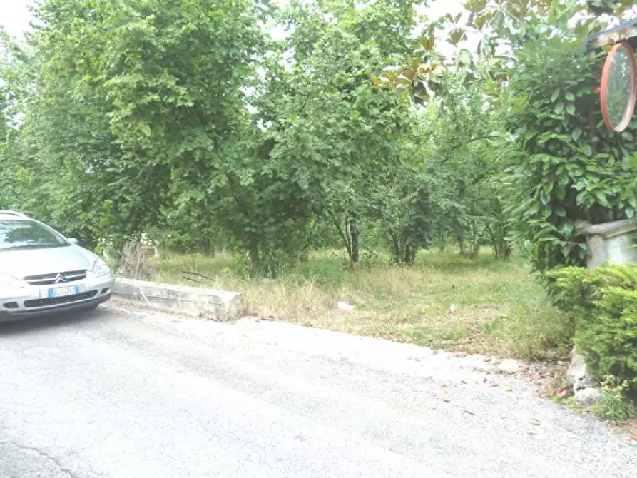 Immagine 8 di Terreno in vendita  in località Selve Vecchie a Aiello Del Sabato