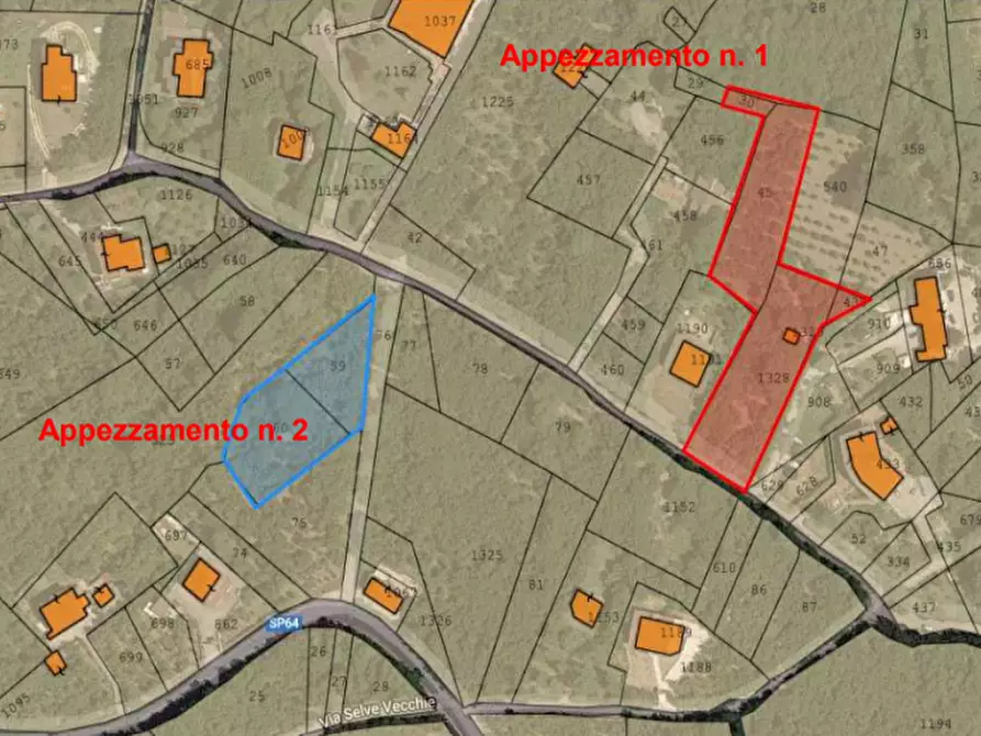 Immagine 10 di Terreno in vendita  in località Selve Vecchie a Aiello Del Sabato