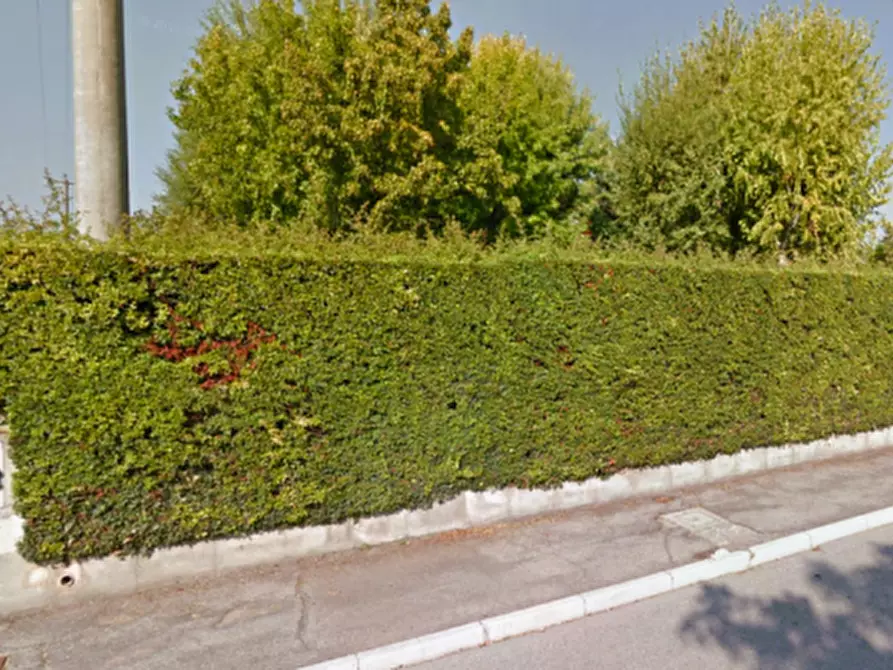 Immagine 5 di Terreno in vendita  in VIA ALDO MORO, SNC a Visano