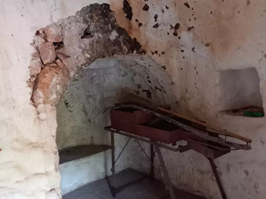 Immagine 4 di Rustico / casale in vendita  in C.da Pisciacalze a Ceglie Messapico