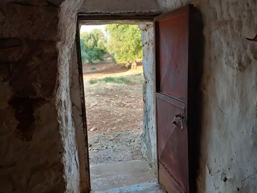 Immagine 8 di Rustico / casale in vendita  in C.da Pisciacalze a Ceglie Messapico