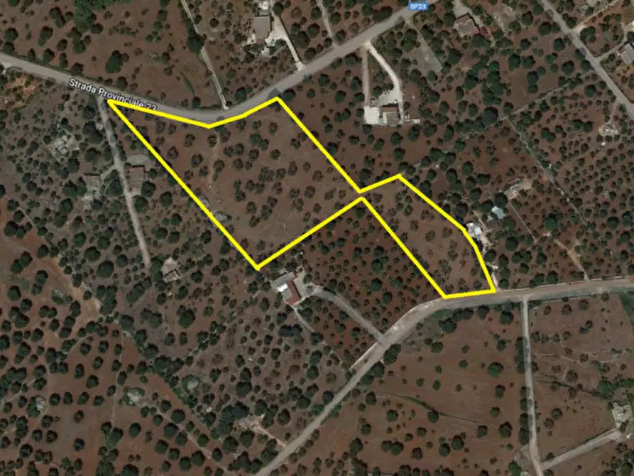 Immagine 18 di Rustico / casale in vendita  in C.da Pisciacalze a Ceglie Messapico