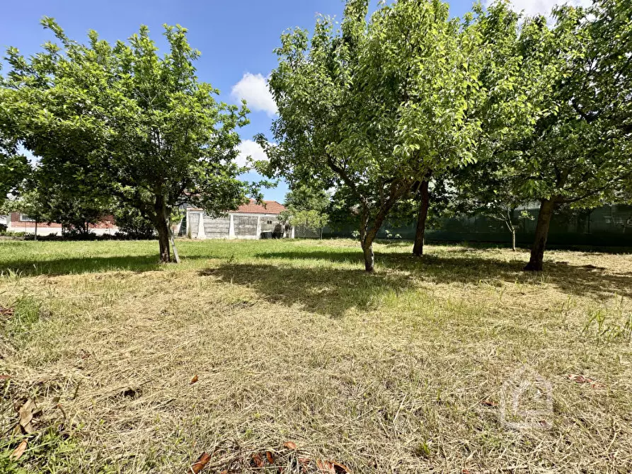 Immagine 21 di Terreno in vendita  in Via Santa Maria 36 a Chivasso