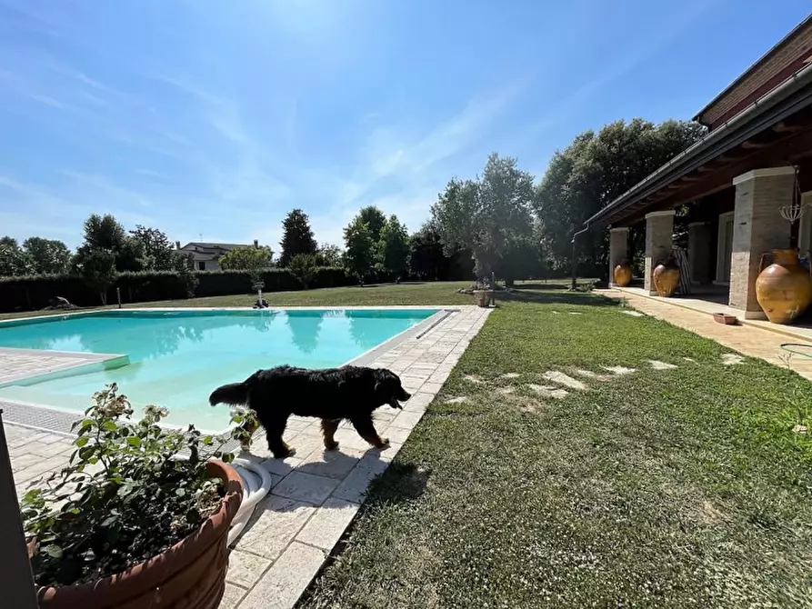 Immagine 7 di Villa in vendita  a Veggiano