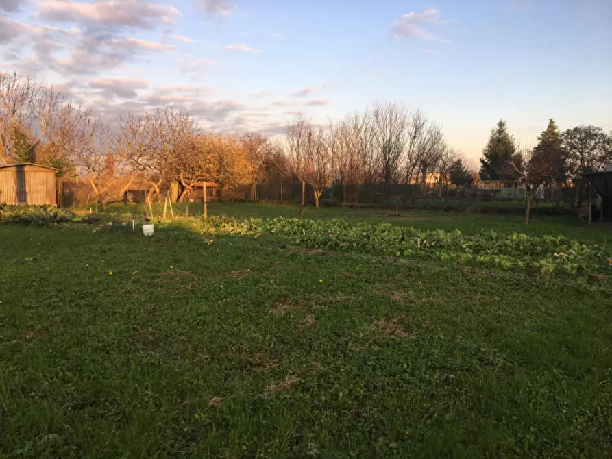 Immagine 11 di Appartamento in vendita  in VIA CARPENEDOLO a Calvisano